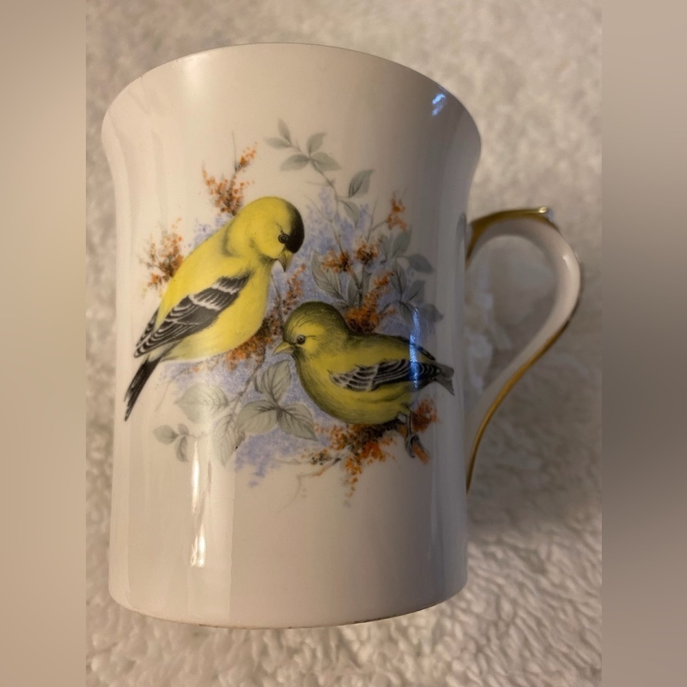 50%offw❤️Birds of American series Rosina bone china Finch G6